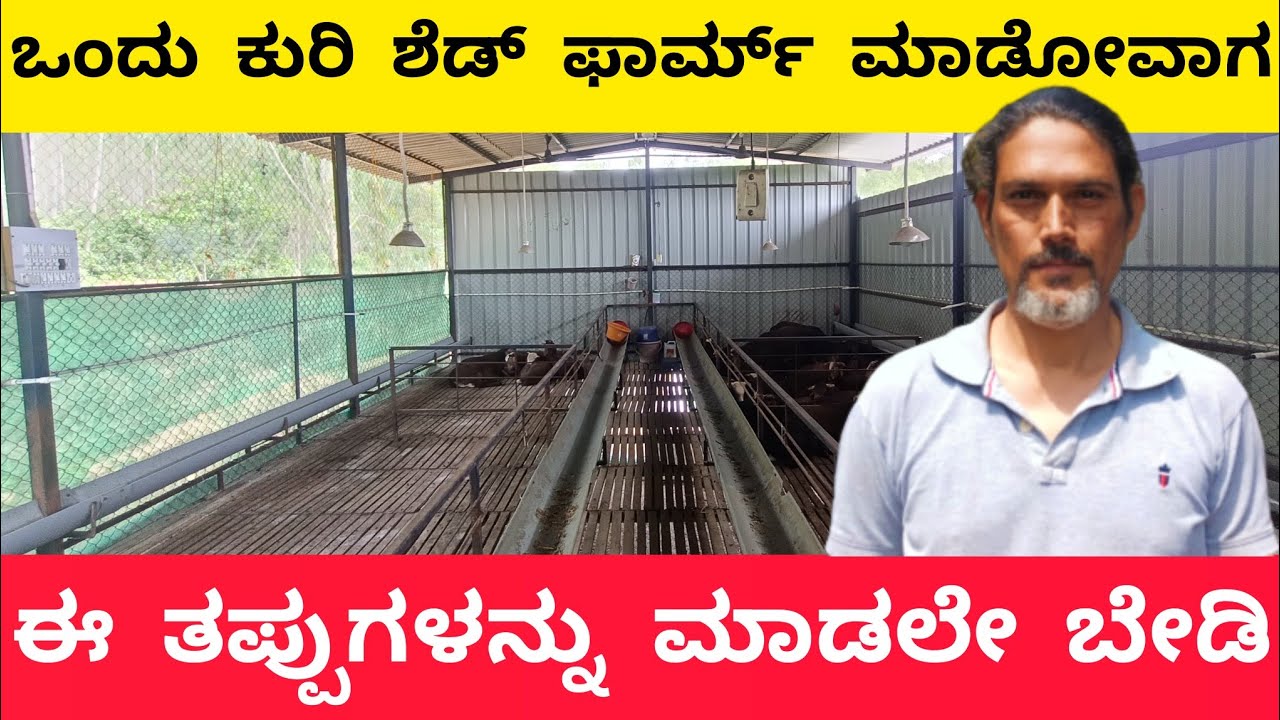ಕುರಿ ಶೆಡ್ ಫಾರ್ಮ್ ಮಾಡುವಾಗ ಈ ತಪ್ಪುಗಳನ್ನು ಮಾಡಬೇಡಿ | Sheep shed farm details |