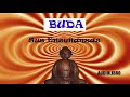 BUDA│Las enseñanzas de Buda│ ☘️     AUDIOLIBRO 2020