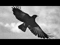 Chapter 17 - Cersei 4 - A Feast for Crows | A Song of Ice and Fire (ASOIAF)