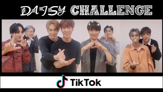 PENTAGON Members Doing Daisy Challenge TikTok Compilation | 펜타곤 데이지