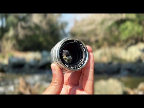Zeiss Planar T* 50mm F2 ZM  / LUMIX S5IIX
