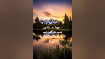 من صلاة العشاء ١٤-١١-٢٠٢٠من أواخر سورة المنافقون وسورة الزلزلة بمسجد التوحيد للقارئ#محمد_حسن_شلبي#