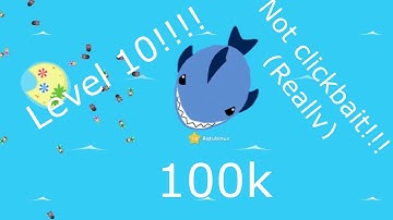 Piranh.io | 100k WORLD RECORD! LEVEL 10 (NOT CLICKBAIT) | Last shark standing