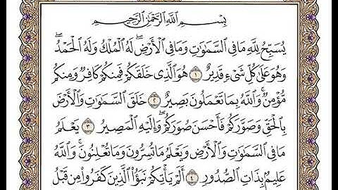 سورة التغابن الشيخ وديع اليمني