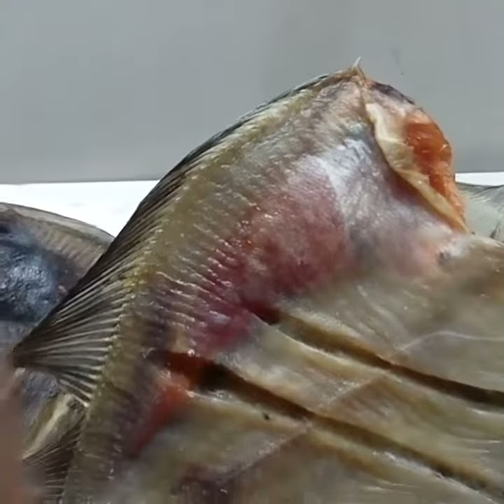 Икра Красная в Томске и Северске!! Камчатка! КАМБАЛА ВЯЛЕНАЯ ОТБОРНАЯ ...