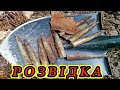 Чому про це мовчать блогери-пошуківці!? А я все одно покажу! Metal Detectors ww2.