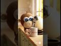 What is Baby Monkey doing today? #癒し動画 #babymonkey #asmr #もぐもぐ #genkienglish