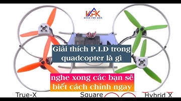 P.I.D là gì trong quadcopter - Giải thích dễ hiểu nhất cho anh em newbie