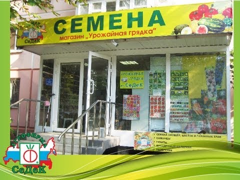 Магазин Семена В Анапе Адреса
