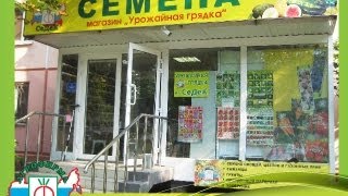 Где купить семена в Краснодаре?(Магазины Агрофирмы