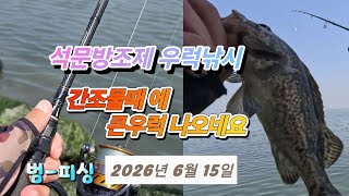 석문방조제 우럭낚시 간조물때 큰우럭 나옵니다~