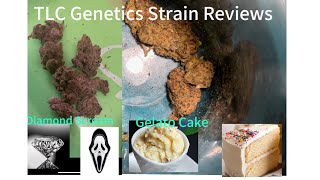 The TLC Genetic Show : Diamond Scream x Gelato Cake (Strain Review)