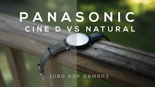 Cinelike D Vs. Natural || Non-Scientific Sigma 30mm F1.4 G85 Picture Profile Test Footage