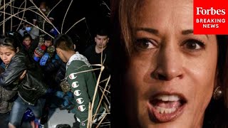 "We Have Seen No Plan": GOP Lawmaker Rips Border "Point Person" VP Kamala Harris For Migrant Surge