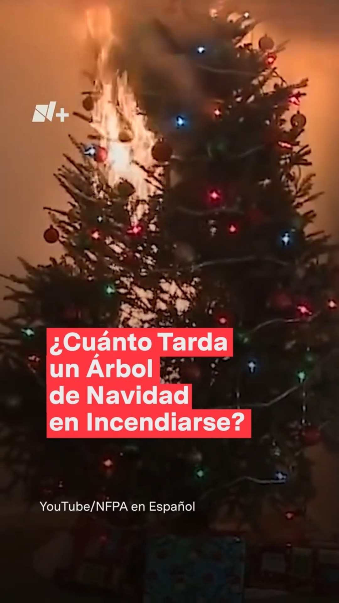 ¿Cuánto tarda un árbol de Navidad en incendiarse por completo? #nmas #shorts #navidad