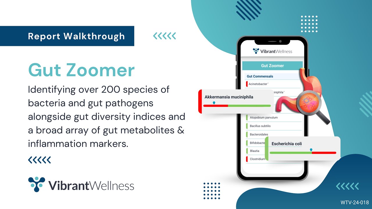 Vibrant's Gut Zoomer - Report Walkthrough - YouTube