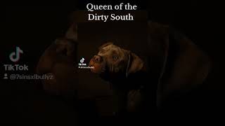 Queen Of The South Akasha Night Photos