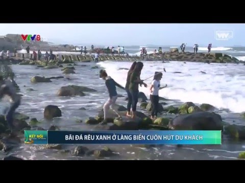 Video Du lịch Phú Yên - Bãi đá rêu xanh Xóm Rớ Phú Đông Tuy... - youtube