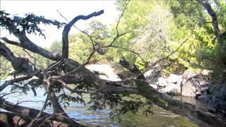 338. Romance del árbol y la laguna. Icalma. Chile.