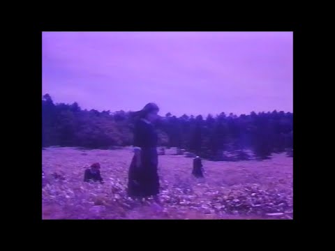 Mellowed - The Perfect Mistake