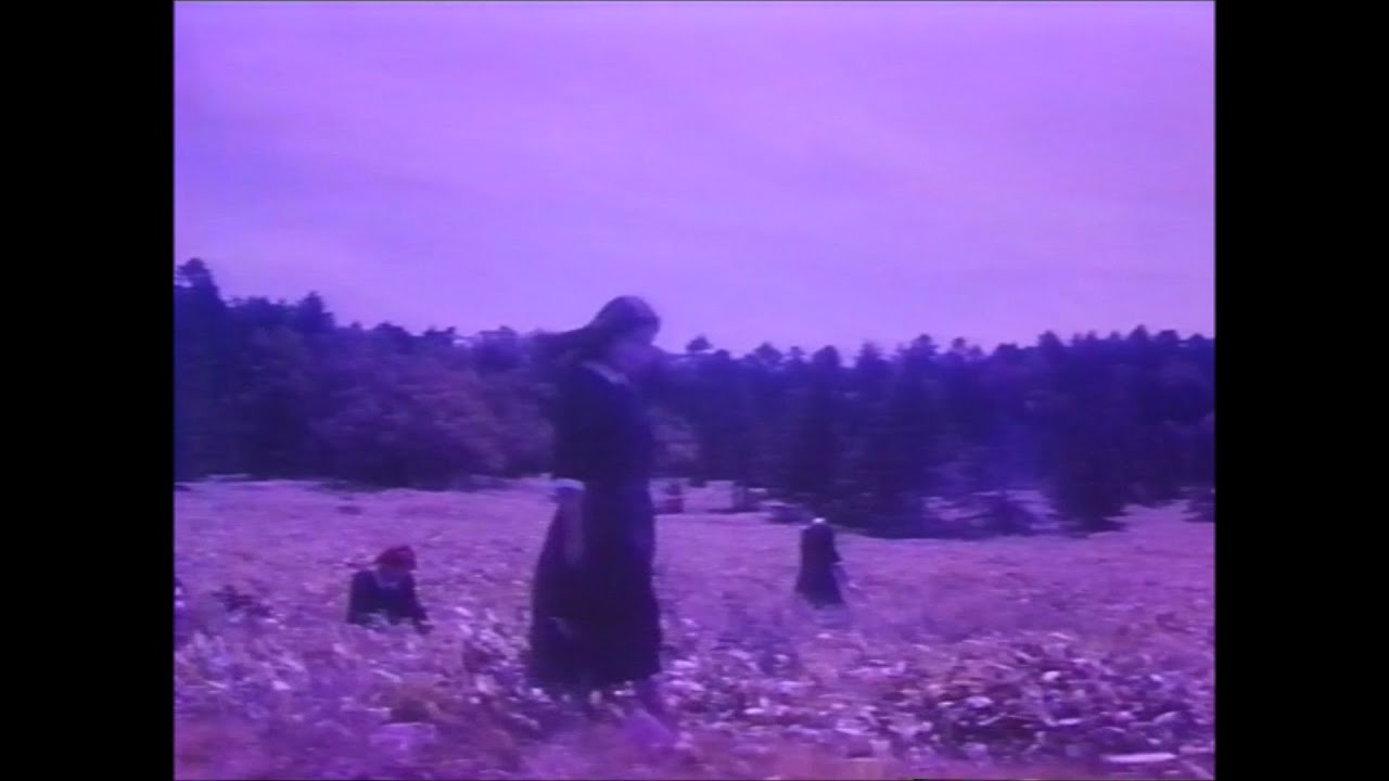 Mellowed - The Perfect Mistake