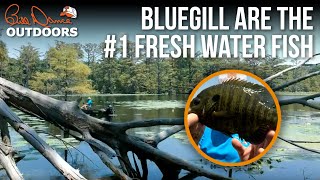 #1 Fresh Water Fish | Bill Dance Outdoors