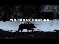 Wildboar hunt in italy