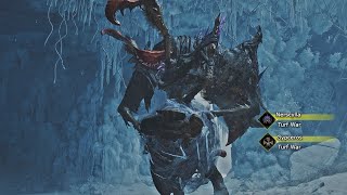 New Nerscylla Vs Gypceros Turf War - Monster Hunter Wilds