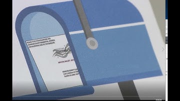 Mail-in Ballot Applications