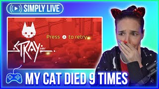 I Died More Than 9 Times (2/5) LIVE  Stray
