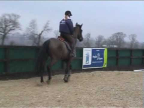 bruce 1st jump- for sale