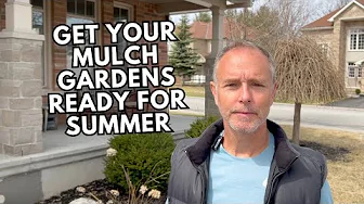 Preparing Your Garden for Spring: Reed Grass, Boxwood & Hydrangea Care | Early Spring Lawn Care Tips