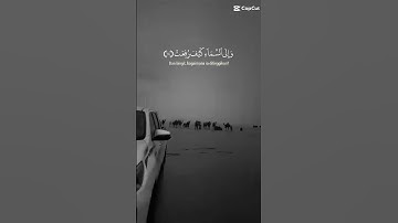 أَفَلَا يَنظُرُونَ إِلَى ٱلْإِبِلِ كَيْفَ خُلِقَتْ   سورة الغاشيه#قرآن #راحة نفسية