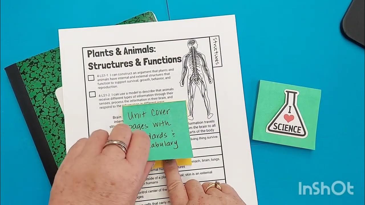 4th grade interactive science notebook set up YouTube