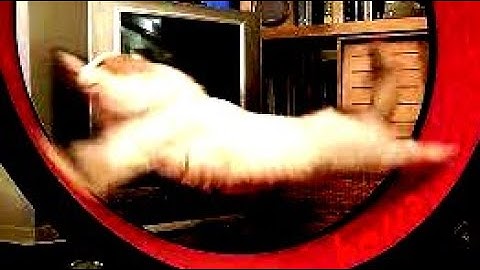 Party.exe RPG Speedrun (Basic Cleanser%) 1:22:77