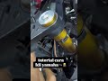tutor https://youtube.com @MuhaiminIsmail-p2k ?sub-confimation