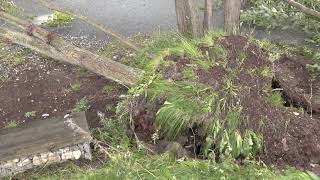 11.10.2023 - Esimene Suur Torm Tekitas Palju Kindlustusnõudeid