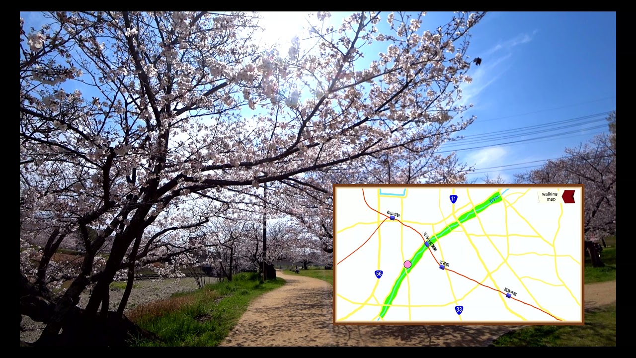 ウォーキングコース 2021.4.3　Sat