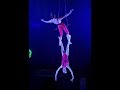 Knotted N&#39; Art Aerial Trapeze duo at Happy&#39;s Circus
