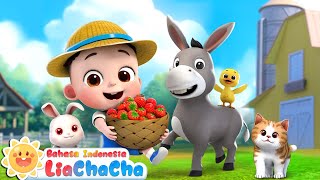 Download Lagu Jalan-jalan di Peternakan🐮 | Lagu Hewan di Peternakan | Lagu Anak-anak | LiaChaCha Bahasa Indonesia MP3 Download Lagu Jalan-jalan di Peternakan🐮 | Lagu Hewan di Peternakan | Lagu Anak-anak | LiaChaCha Bahasa Indonesia MP3
