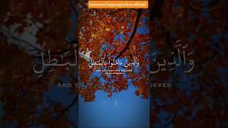 Allah is Enough as a Witness ✨ | Heart Touching Quran Status