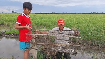 Chiều Chiều Thăm Lú Thăm Lờ Không Ngờ Dính Cá Dính Rắn Sách Về Mỗi Tai.Góc Làng Quê #42