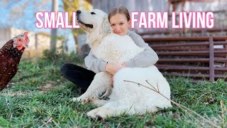 The Life Of A Farm Girl Realistic Farm Vlog