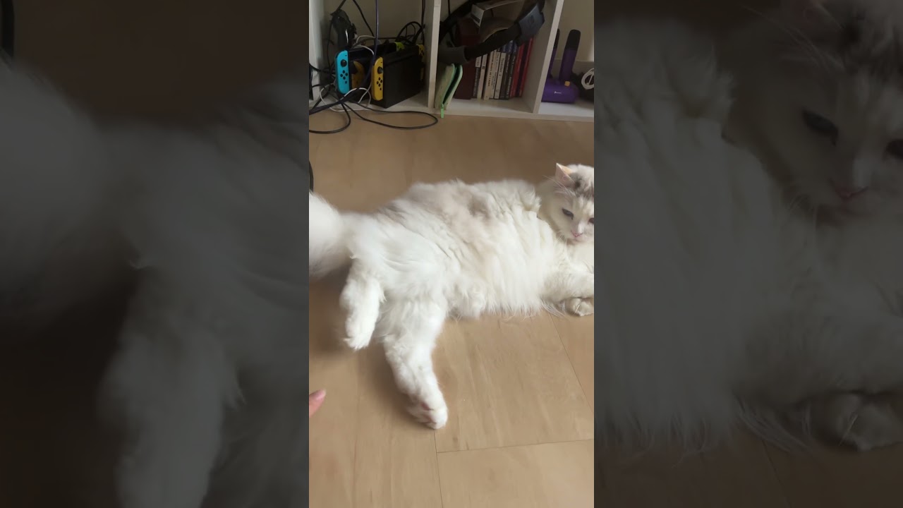 💅 No one shall touch her toe beans! 