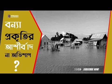 ভিডিও: পশ্চিমে কে গেছে?