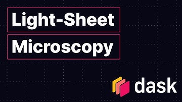 Light-Sheet Microscopy | Life Science Lightning Talk | Jordao Bragantini | Dask Summit 2021