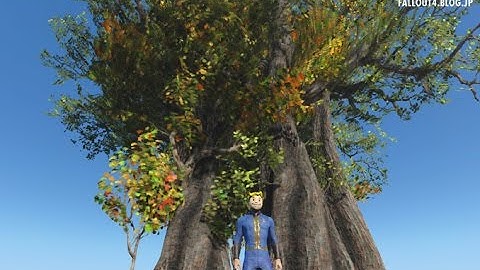 fallout4.blog.jp MOD Review - A Tree Grows In Boston by ElPolloAzul
