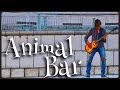 Red Hot Chili Peppers : Animal Bar   bass cover