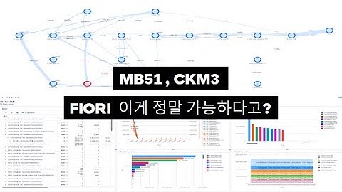 SAP ERP 업무개선 피오리앱 도입 제안 영상(수불, 원가분석).SAP Fiori App Proposal, MB51, CKM3