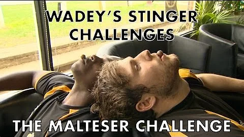 Wadey's Stinger Challenge - Challenge 3